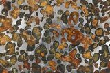 Polished Sericho Pallasite Meteorite ( g) Slice - Kenya #273228-1